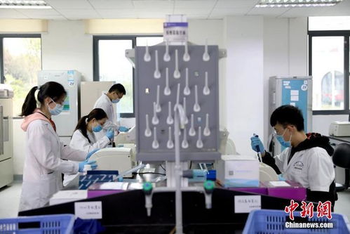 打卡介苗能否減少新冠肺炎感染風(fēng)險？專家回應(yīng)與技術(shù)開發(fā)進(jìn)展